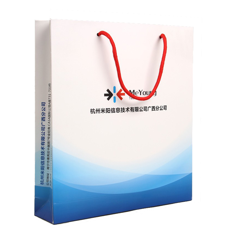 China Manufactures Waterproof Grocery Handle Gift Paper Bag