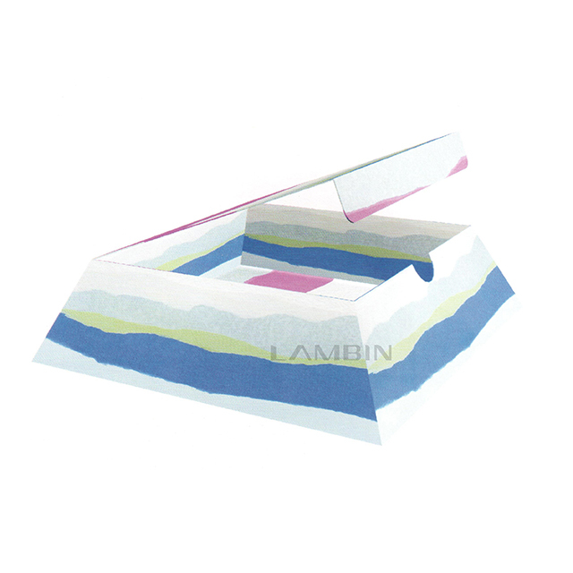 The Tray-like Moveable Lid Packing for Fashionable Accessories