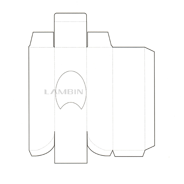 The Irregular Shape Paper Box for Packing Speciality Food