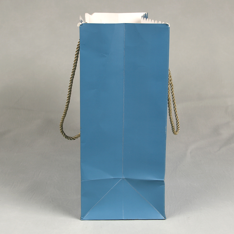 Hot Sale Fashion Women's Garments Paper Bags Packaging Bag